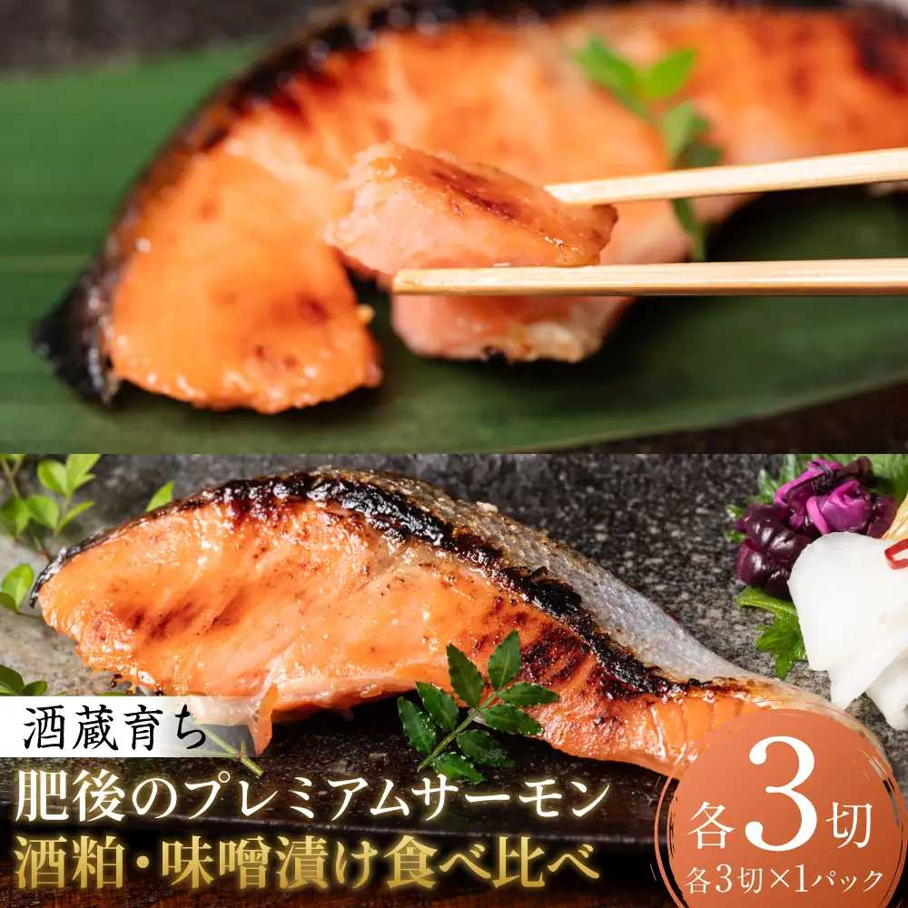 酒蔵育ち 肥後のプレミアムサーモン 食べ比べセット 粕漬け・味噌漬け 各3切入 おかず サーモン 鮭 焼き魚 粕漬け 味噌漬け 赤酒 魚 冷凍 和食 熊本県 八代市