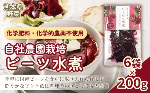 自社農園栽培 ビーツ 水煮 1.2kg （200g×6袋） やさい 野菜 ボルシチ 小分け レトルトパウチ 健康 美容 国産 九州 熊本県 あさぎり町