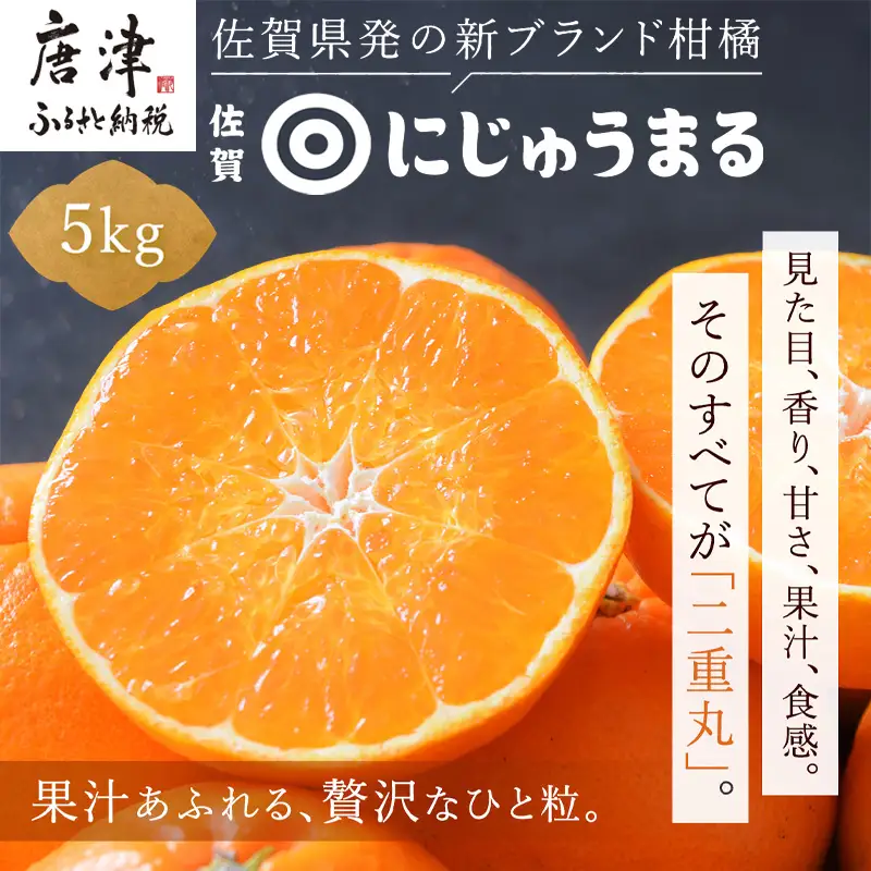『先行予約』【令和9年3月上旬より順次発送】◎にじゅうまる◎ 5kg 佐賀県産【高級柑橘みかん】