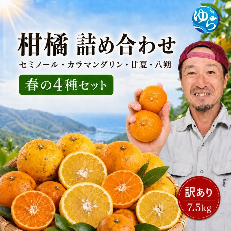 柑橘詰め合わせ 4種 7.5kg 【2027年4月中旬～下旬頃に順次発送予定】/ 和歌山 柑橘 甘い 果物 家庭用 【kwgc049-c-7d5B】