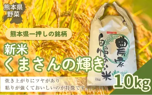 令和7年産 「 くまさんの輝き 」10kg 精米 コメ 米 お米 熊本県産 ごはん 白米 国産 九州 熊本県 あさぎり町 【2026年5月下旬迄発送予定】