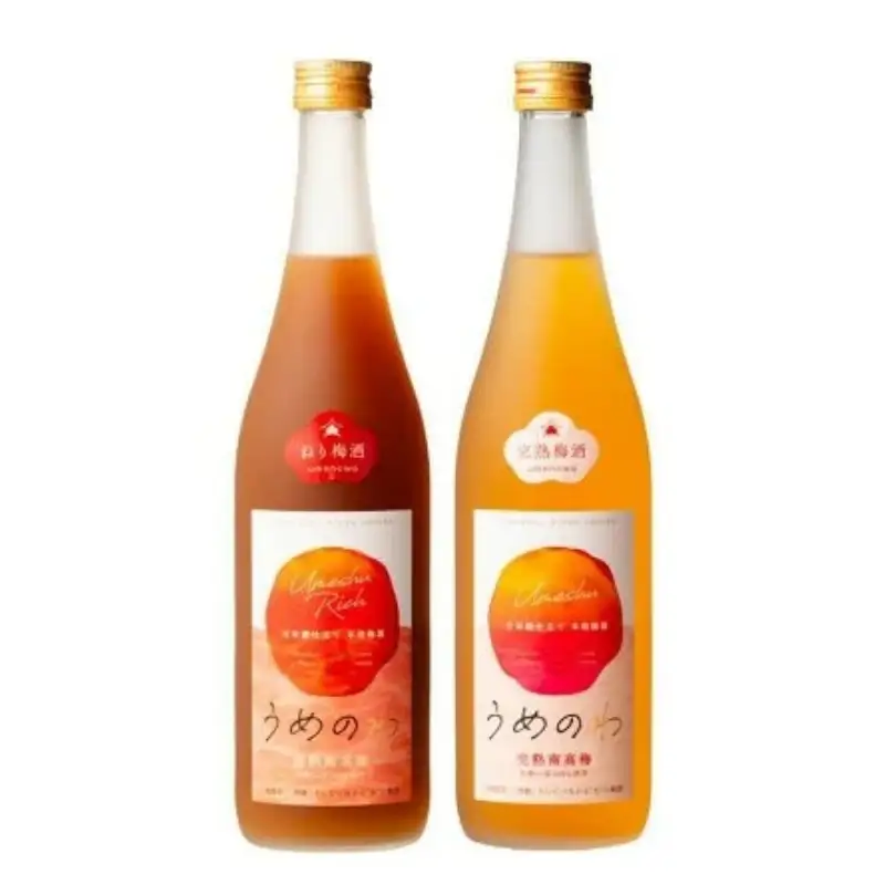 【紀州完熟南高梅使用】濃厚「ねり梅酒」と芳醇「梅酒」各720mlの飲み比べ＜1か月以内に発送＞【tecj1003A】 