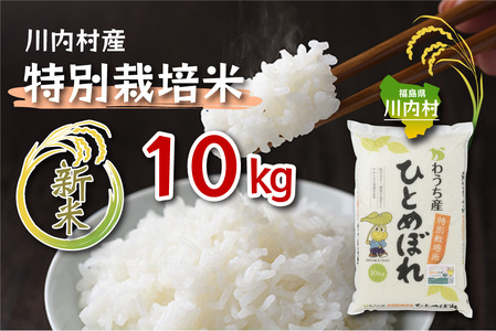 【ふるさと納税】令和7年度 かわうち産 特別栽培米 ひとめぼれ 10kg