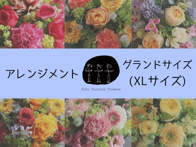 【ふるさと納税】【fuku farming flowers】フラワーアレンジメント XLサイズ｜グランドサイズ 