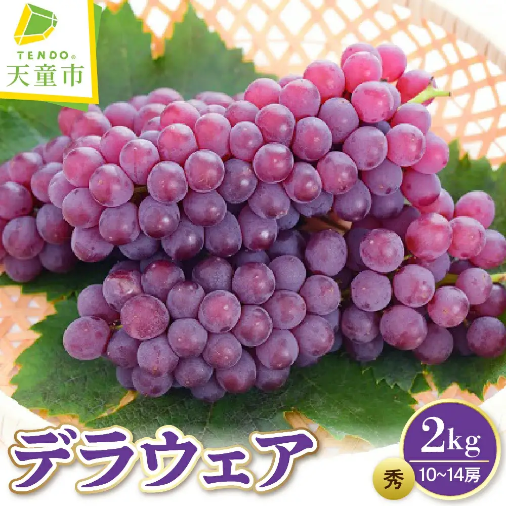 ぶどう ( デラウェア ) 2kg フルーツ 果物 山形