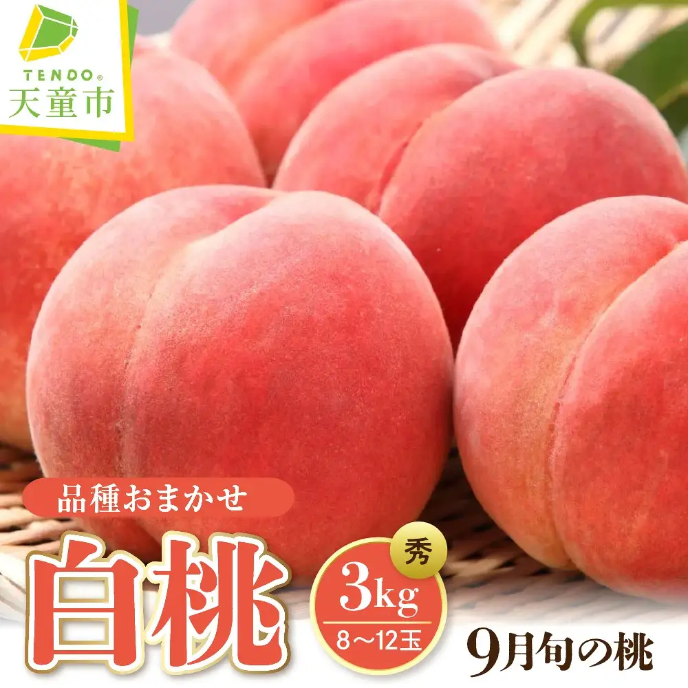 もも ( 9月 品種 おまかせ 白桃 ) 3kg フルーツ 果物 山形