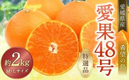 【希望の島】 愛果48号 特選品 中玉 2kg 愛媛県 松山市 中島産（1022） 【2027年3月下旬-5月下旬迄発送予定】 みかん 特選品 果物 フルーツ デザート オリジナルブランド 国産 常温 愛媛県