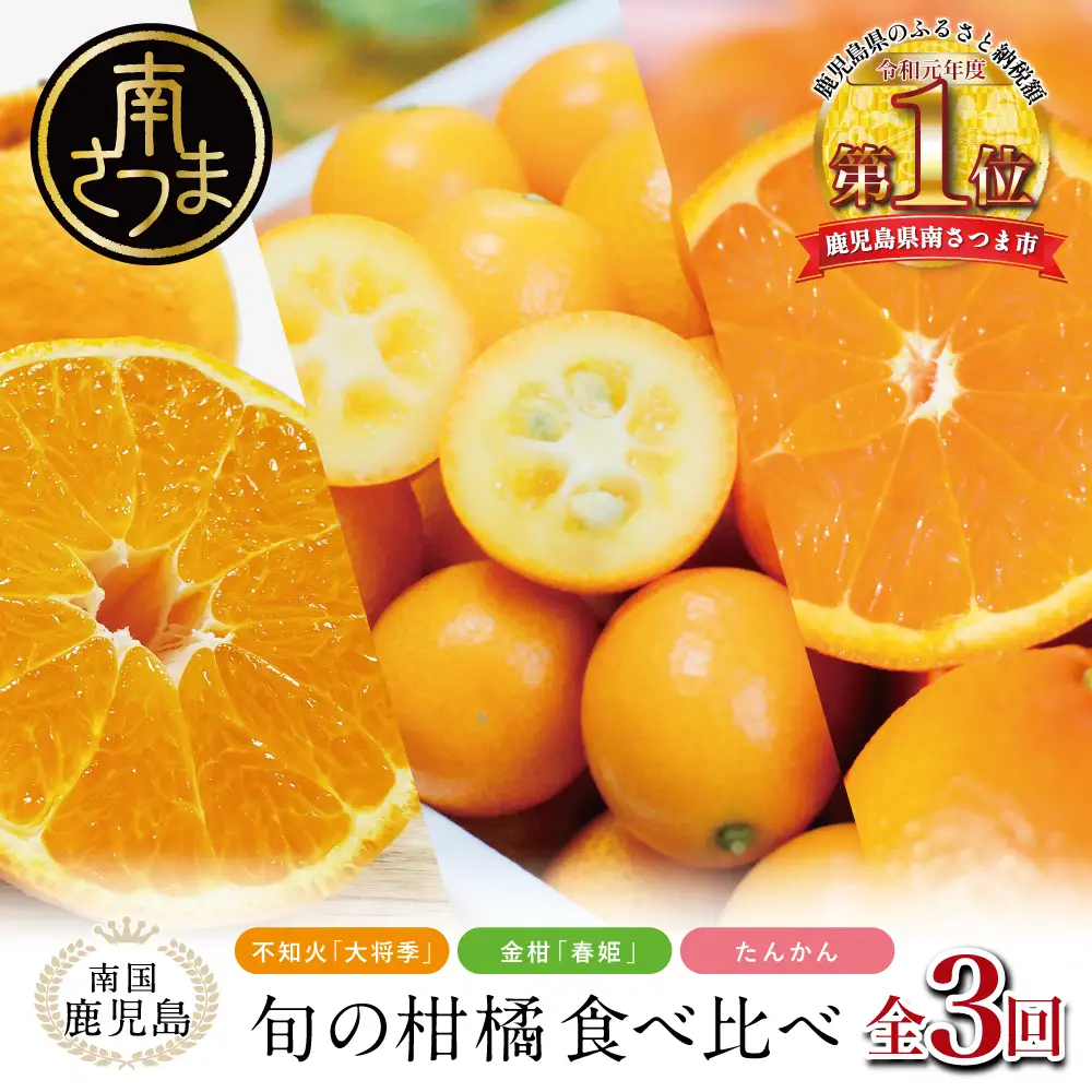 南国の恵み 旬の柑橘食べ比べ（全3回お届け）★2027年1～3月お届け★ 果物 フルーツ 柑橘 定期便