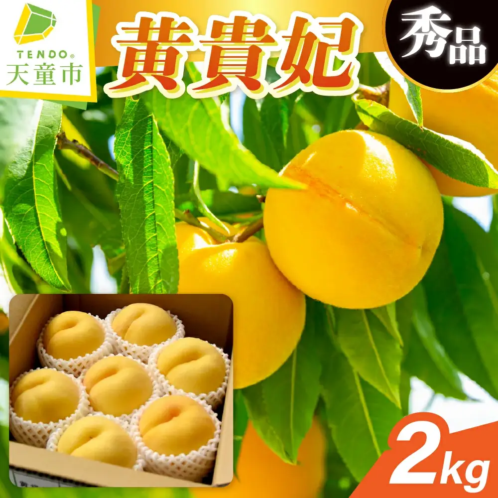 もも 黄貴妃 2kg フルーツ 果物 山形 黄桃 モモ
