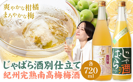 じゃばら酒別仕立て 紀州南高梅梅酒 セット 720ml×各1本 計1440ml 