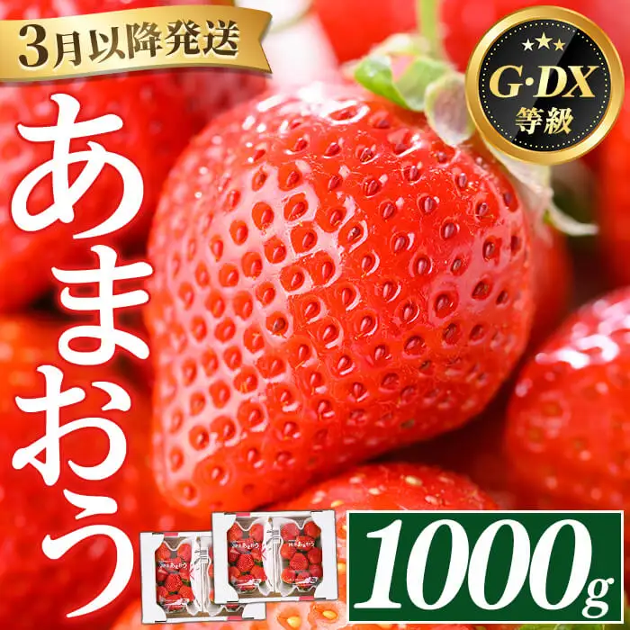 ＜2027年3月上旬以降順次発送予定＞福岡県産 あまおう (計1000g・250g×4P) いちご イチゴ 苺 ストロベリー 果物 フルーツ おやつ デザート 1000g 4パック 冷蔵 アマオウ ジャム スムージー ケーキ お取り寄せ 国産 福岡県産 【FUKUOKA MIOTSUKUSHI】as55-001
