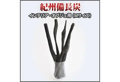 紀州備長炭 インテリア・オブジェ(Mサイズ)【0274-1】