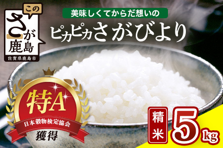 令和7年産 佐賀県産 さがびより 5kg 白米《からだ想いのピカピカさがびより》ふるさと納税 米 お米 新米 精米 国産 佐賀県 鹿島市 ふるさと 人気 送料無料 C-184