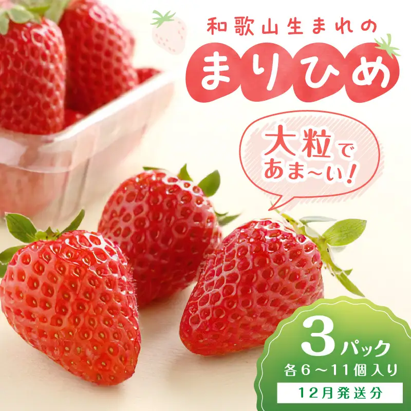 和歌山生まれのイチゴ【まりひめ】大粒3パック12月発送分《先行予約》いちご【0295-6】