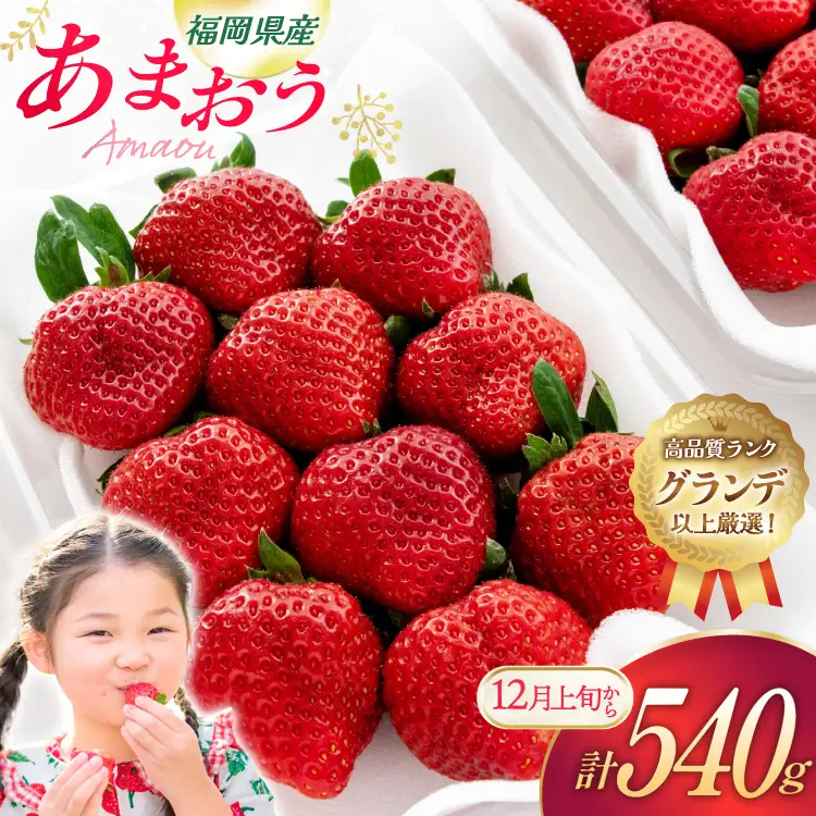 いちご あまおう 270g 2p 計540g【12月発送】
