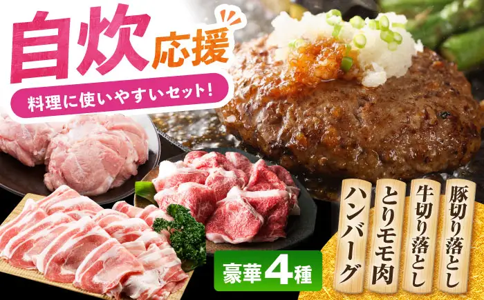 ハンバーグ付き！三栄のデイリーセット 【肉の三栄】 佐賀牛 佐賀県産豚 ありたどり 切り落とし[HAA203]