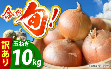 【今が旬!】 訳あり 玉ねぎ 10kg 　【えぐちファーム】 不揃い たまねぎ[HDE004]