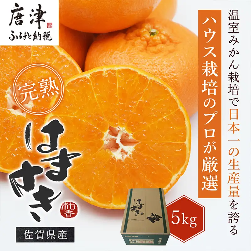 『先行予約』【令和9年2月上旬より順次発送】【特選甘熟みかん】はまさき 5kg