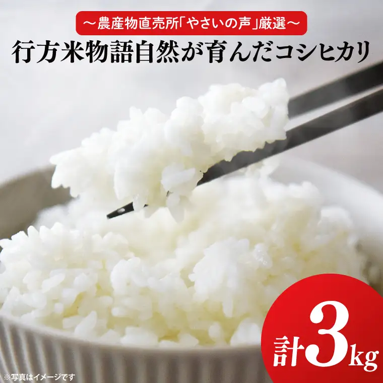【令和8年産新米】～農産物直売所「やさいの声」厳選～「行方米物語 - 自然が育んだコシヒカリ３kg」｜米 お米 こめ コシヒカリ ご飯 白ご飯 令和8年産 R8年産 茨城県 行方市(EK-6-2)