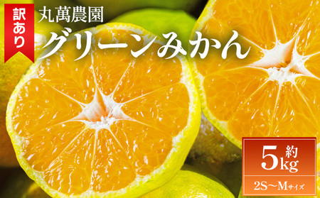 【2026年出荷分】グリーンみかん(2S～Mサイズ) 5kg 家庭用 丸萬農園 グリーンみかん mn-0016