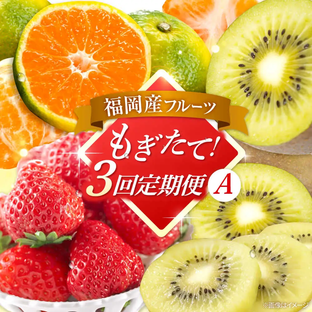 【全3回定期便】九州・福岡もぎたて フルーツ定期便 A　桂川町/一般社団法人地域商社ふるさぽ[ADCF017]