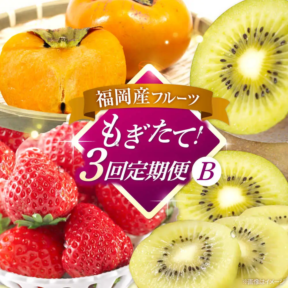 【全3回定期便】九州・福岡もぎたて フルーツ定期便 B　桂川町/一般社団法人地域商社ふるさぽ[ADCF018]