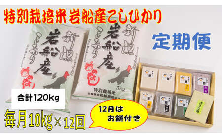 【令和7年産米】特別栽培米  新潟県岩船産 コシヒカリ 120kg（10kg×12ヶ月コース）＋お餅セット（限定月1回） 定期便 毎月 お米 白米 こしひかり きねつき もち 精米 村上市  1013014