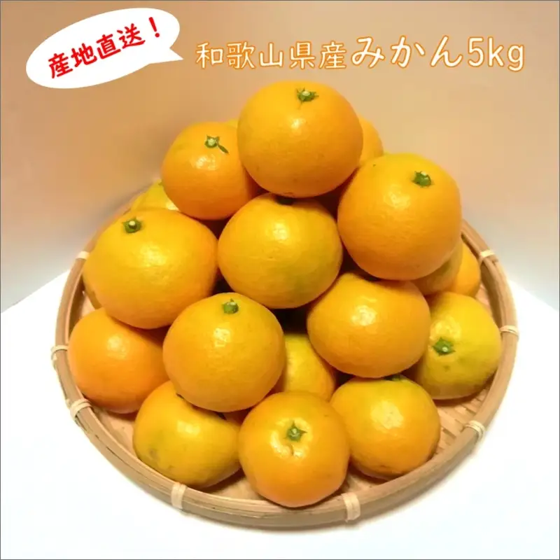 みかんの産地和歌山日高地方からお届け!みかん 5kg《先行予約》2026年11月頃から順次発送予定【0336-4】