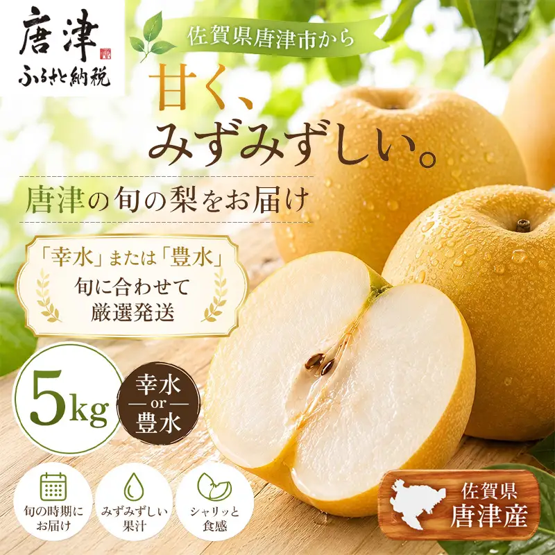 『先行予約』【令和8年7月上旬より順次発送】唐津産 梨 5kg【旬の味覚】幸水 豊水