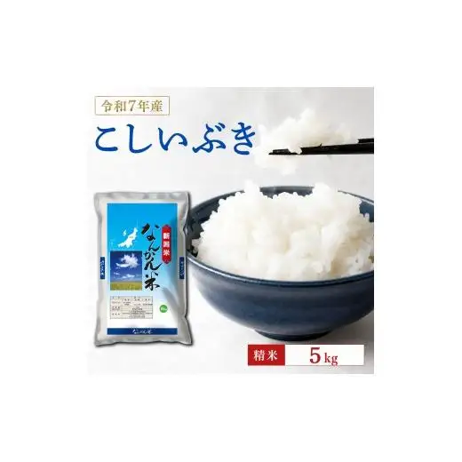 米 令和7年産 新潟産なんかん米こしいぶき 精米5kg