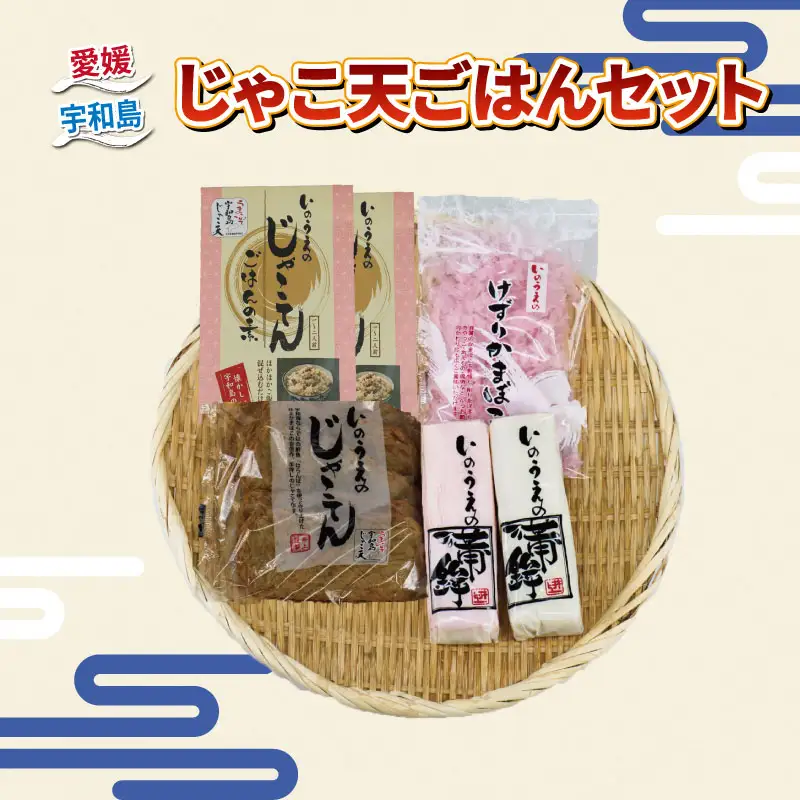 練物 じゃこ天 蒲鉾 じゃこ天ごはん セット 井上蒲鉾本舗 練物 C015-003005