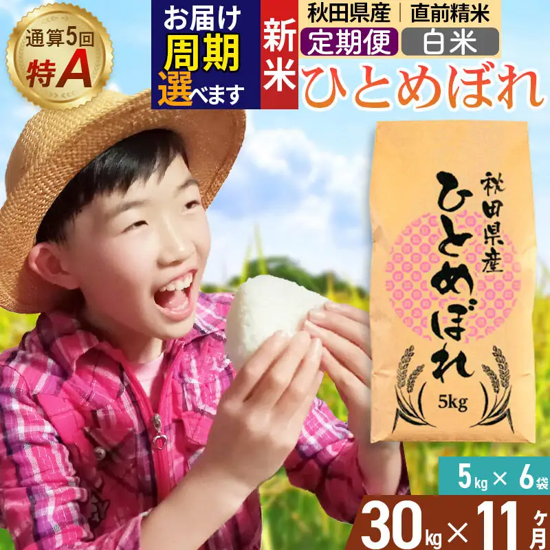《令和8年産 新米受付》《定期便11ヶ月》【白米】通算5回特A 秋田県産ひとめぼれ 30kg(5kg×6袋)×11回  お届け周期調整 隔月に調整OK