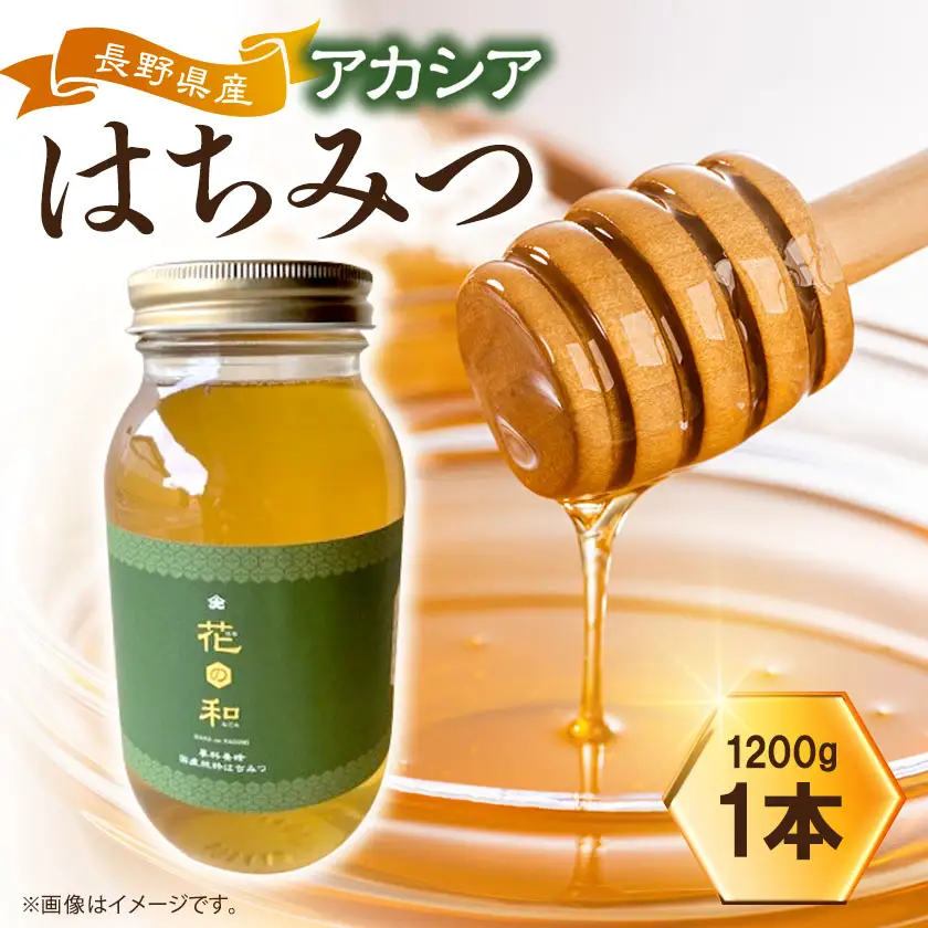 信州産アカシアはちみつ　1200g【1712885】