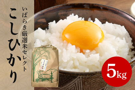 筑波山麓産米を中心に厳選した【茨城県産こしひかり】令和7年産白米5kg B07-014