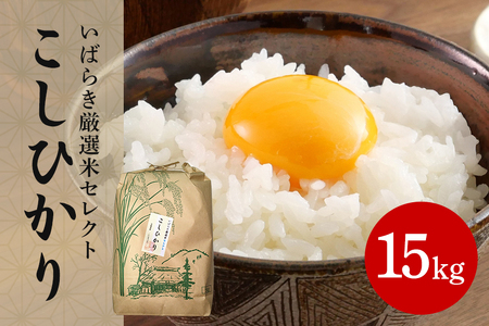 筑波山麓産米を中心に厳選した【茨城県産こしひかり】令和7年産白米15kg B07-016