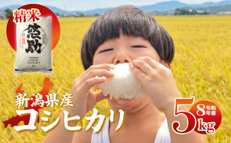 【令和8年 先行予約】新潟県産コシヒカリ5kg(5キロ×1) kwsKH |新潟県 コシヒカリ おこめ