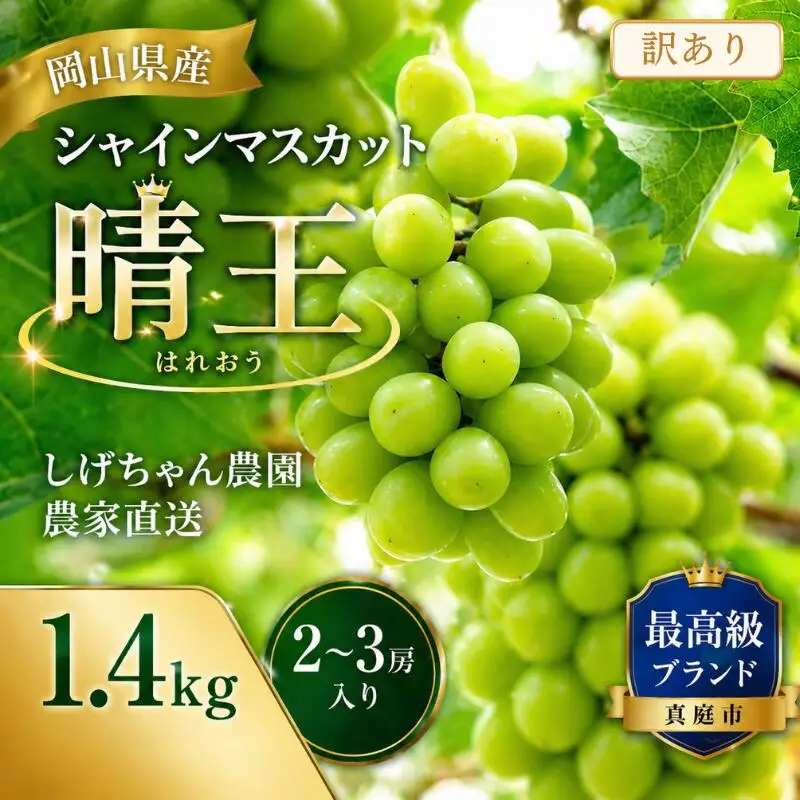 シャインマスカット 岡山県産シャインマスカット晴王 1.4kg 訳あり【shifarm003-02】