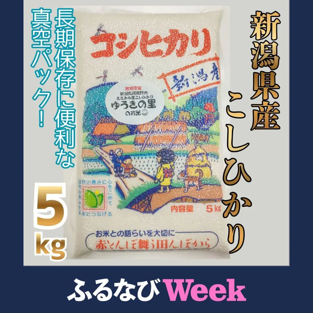 【ふるなびWEEK対象】【令和7年産】阿賀野市 ささかみ産 こしひかり 「ゆうきの里のお米」真空パック 5kg 新潟コンバイン 白米 精米 新潟県 コシヒカリ コシ 米 お米 ごはん ご飯 長期保存 保存食 3P06013