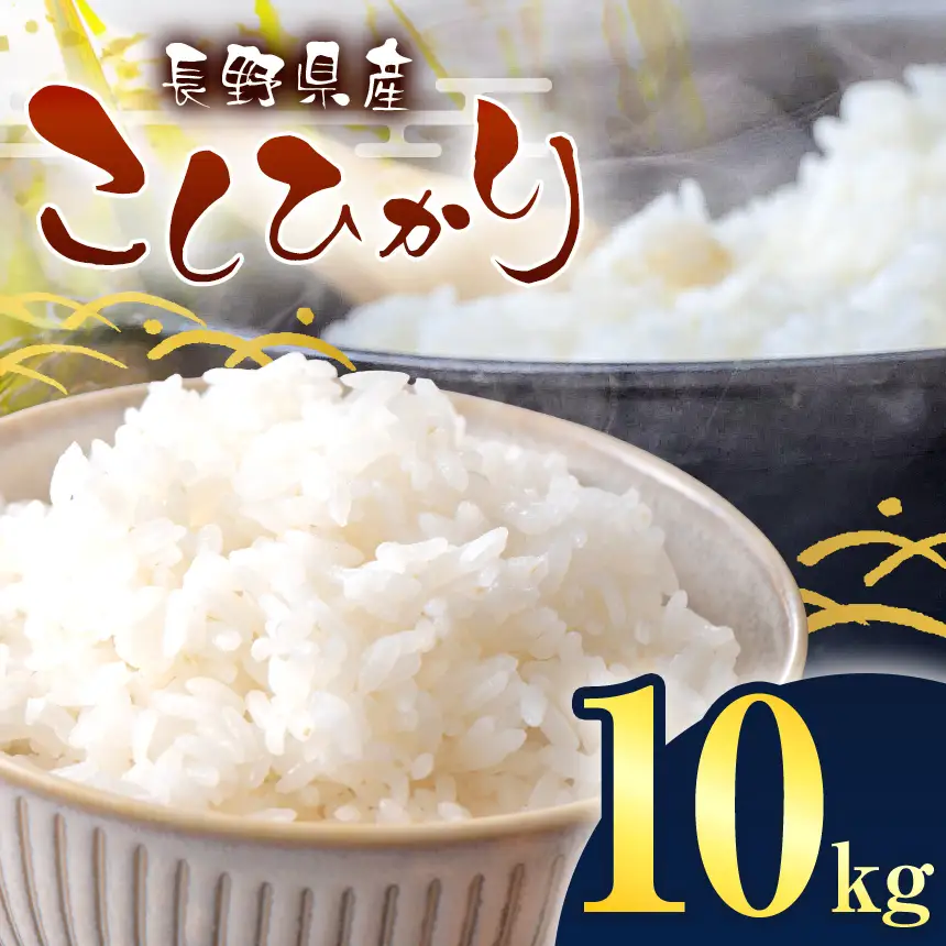 伊那市産 こしひかり 10kg 【026-14】