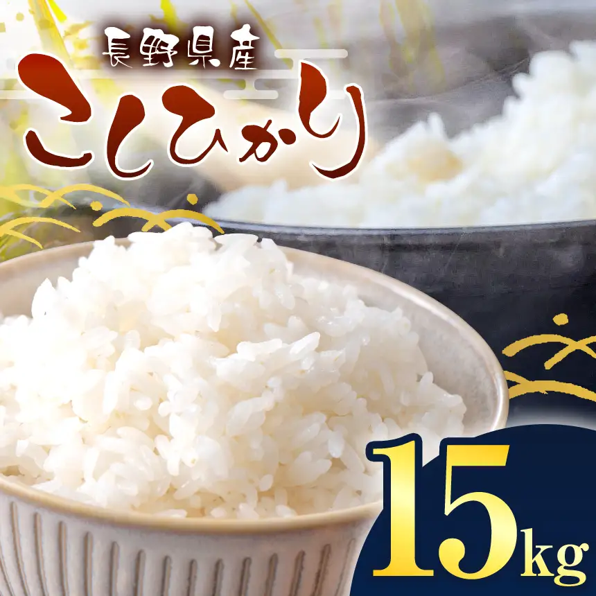 伊那市産 こしひかり 15kg 【039-04】