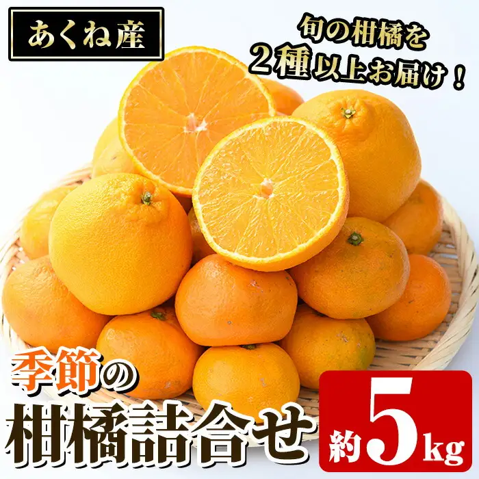 ＜先行予約受付中！2026年12月上旬以降順次発送予定＞竹ん子山の季節の柑橘詰め合わせ(約5kg) 国産 鹿児島県産 阿久根産 柑橘 果物 温州みかん ミカン 蜜柑 ボンタン ぼんたん 文旦 しらぬい しらぬひ 不知火 サワーポメロ フルーツ 果実 期間限定 セット 詰合せ バラエティ 【竹ん子山】akn097-13