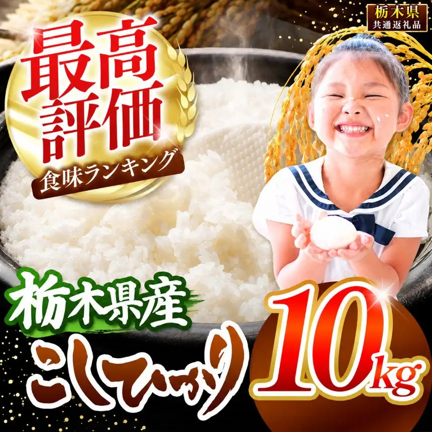 【2026年産】栃木県産コシヒカリ白米 10kg【栃木県共通返礼品 栃木県産】