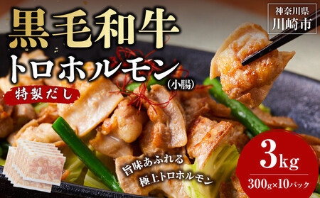 黒毛和牛トロホルモン（小腸）　特製だし3kg ( 300g × 10パック )【2026年11月発送】