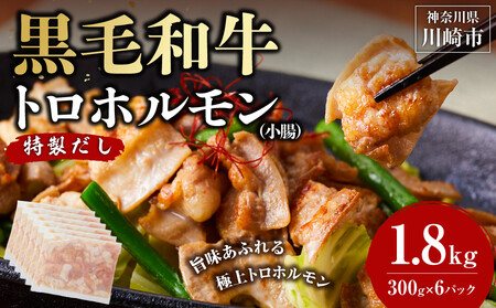 黒毛和牛トロホルモン（小腸）　特製だし1.8kg ( 300g × 6パック )【2026年9月発送】