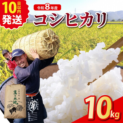 令和8年産 コシヒカリ 10kg 精米 白米
