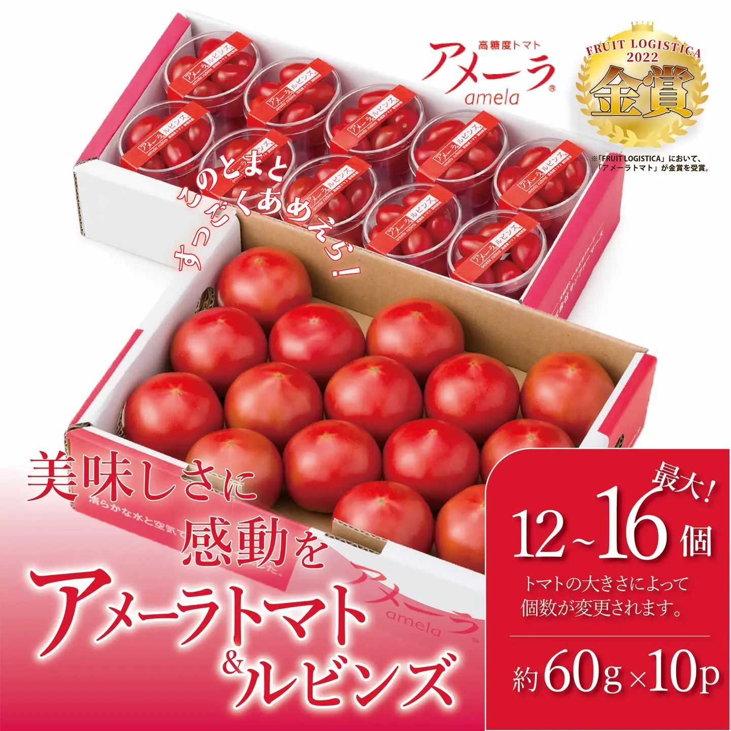 トマト ミニトマト アメーラ＆ルビンズ10P