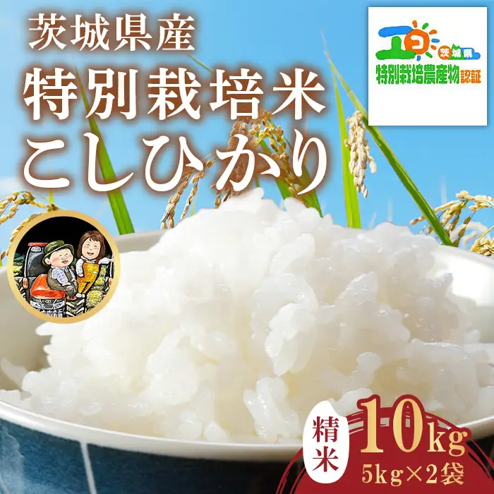 742 茨城県産 こしひかり 特別栽培米 10kg (5kg×2袋) 令和7年産 精米【米農家もろちゃん】