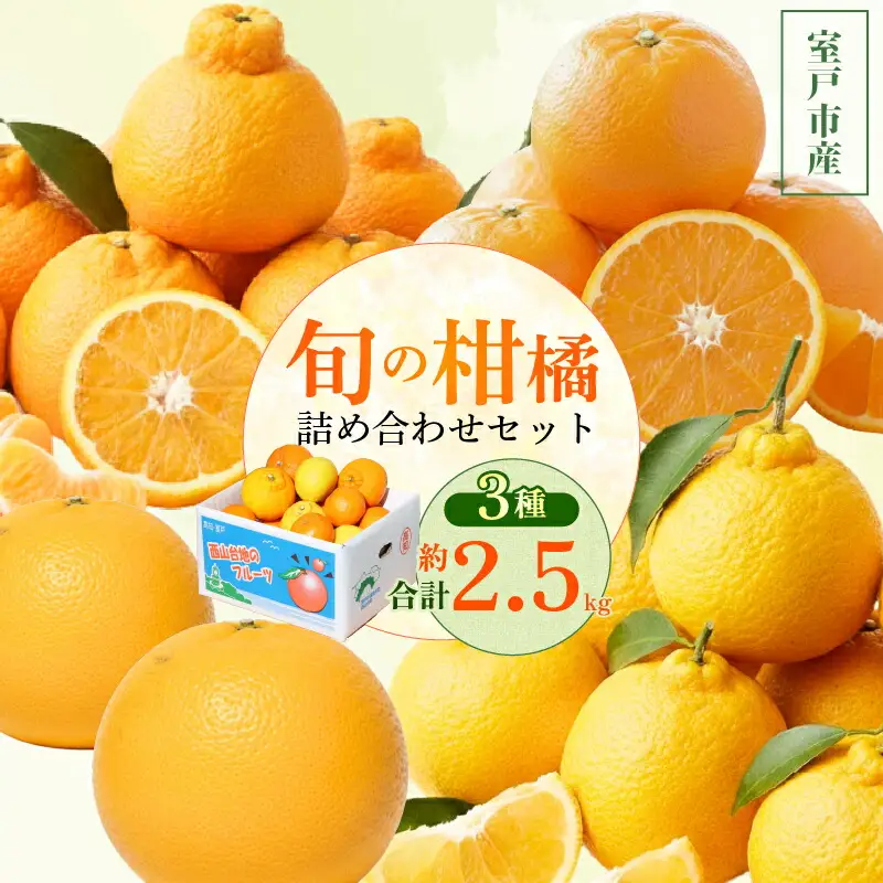 【 柑橘 詰め合わせ 2.5㎏ 】訳あり 柑橘