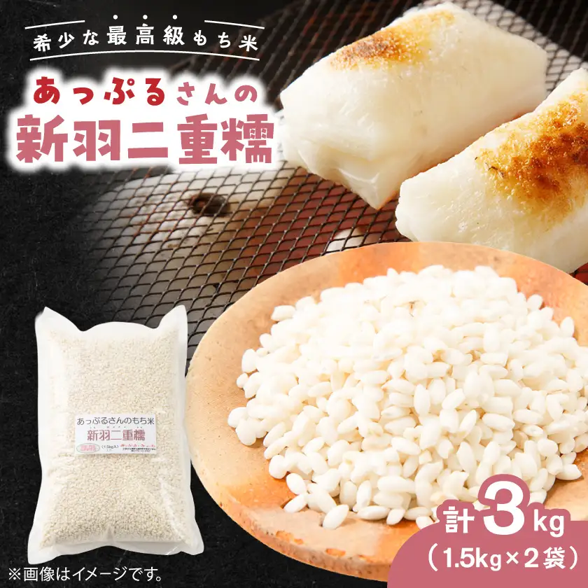 【京都府固有種・希少もち米】 新羽二重糯1.5kg×2袋　冷めてもやわらかい最高級もち米　農家直送【1713950】