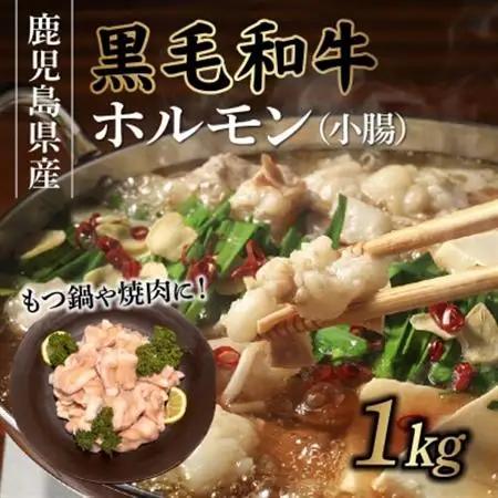 鹿児島県産黒毛和牛ホルモン(小腸)1kg【配送不可地域：離島】【1185883】